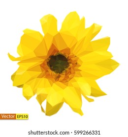 Vector low poly yellow flower sunflower floral design element isolated on white background