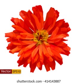 Vector low poly Zinnia elegans flower