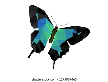 Vector low polygon butterfly on white background.