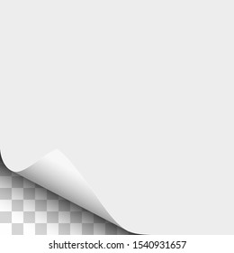 Vector lower left curl of corner of white sheet of paper.