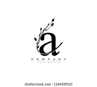 134,408 Luxury hotel logo Images, Stock Photos & Vectors | Shutterstock