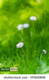 Vector low-poly triangular modern style green grass and daisies flower, summer bokeh background