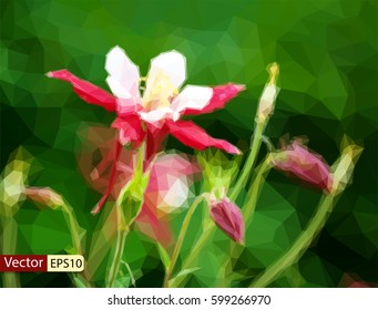 Vector low-poly triangular modern style Aquilegia caerulea flowers