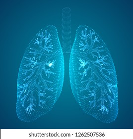 vector lungs and bronchi. vector design. point and dot style