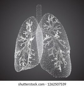 vector lungs and bronchi. vector design. point and dot style