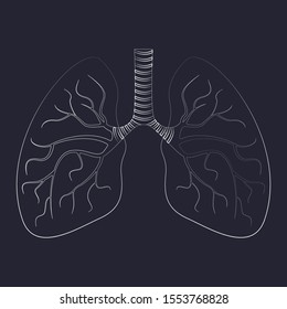 Vector lungs icon. Icon of human lungs. Vector illustration.