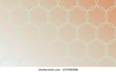 Vector luxury abstract background. for holiday decoration, holiday packaging Vector pattern