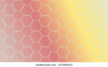 Vector luxury abstract background. for holiday decoration, holiday packaging Vector pattern