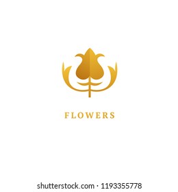 Vector luxury flower logo design. Ornate floral wedding sign. Modern simple premium design vector element. Emblem luxury beauty spa saloon, cosmetics, jewelry, flower shop, restaurant, garden.