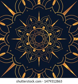 Vector luxury ornamental mandala design background - Vector illustration