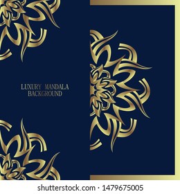 Vector luxury ornamental mandala design background - Vector illustration