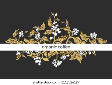 Vector luxury package template, invitation with elegant coffee branch, leaves, bean, grain. Art deco design, banner, nature card. Tropical frame. Organic food. Botanical illustration, premium banner

