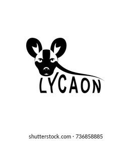 Vector lycaon head, face  for retro logos, emblems, badges, labels template and t-shirt vintage design element. Isolated on white background