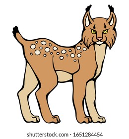 Vector of lynx cub. Hand drawn stock illustration of a young bobcat isolated on a white background.