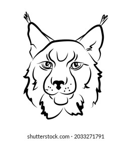 Vector Lynx Head Contour White Black Silhoutte Wild Forest Animal Big Cat Logo Portrait Of European Predator Design