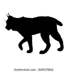 Vector Lynx SIlhouette Side View Illustration on White Background