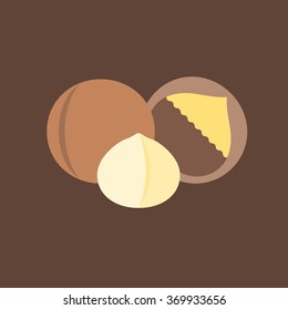 Vector macadamia icon, flat design