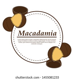 Vector macadamia logo in cartoon style. illustration for design and web isolated on white background.