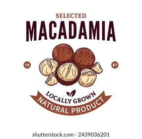 Vector macadamia nut colorful logo. Macadamia nut kernels and shells illustration