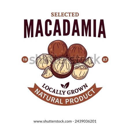 Vector macadamia nut colorful logo. Macadamia nut kernels and shells illustration
