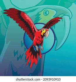 Vector Macaw Birds Fly Mascot Illustration