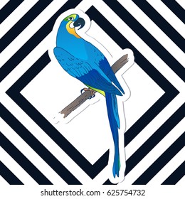 Vector macaw parrot illustration. Animal in the wild hand drawn sketch with beautiful colorful exotic bird sitting on branch with black and white striped background