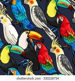 Vector macaw, toucan and cockatoo seamless background
