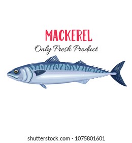 Vector mackerel. Icon badge fish for design seafood packaging and market.