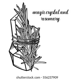 Vector magic crystal and a sprig of rosemary. Botanical illustration with crystal and herb.