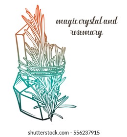 Vector magic crystal and a sprig of rosemary. Botanical illustration with crystal and herb.