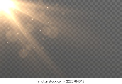 Vector magic light on isolated transparent background. Light png. Dust particles, magical glow png. Christmas light.