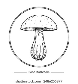 Vector magic mushroom in boho style