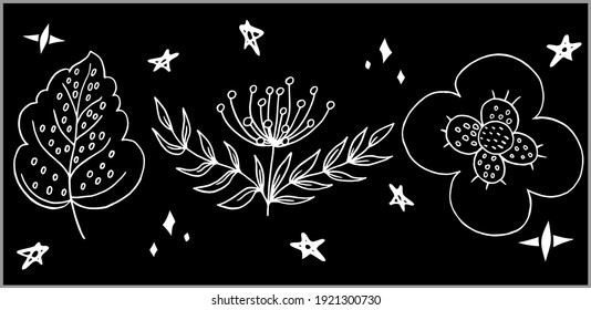 vector magic set flower branch and leaf black and white. Minimalistic background for wallpapers, screens and web pages