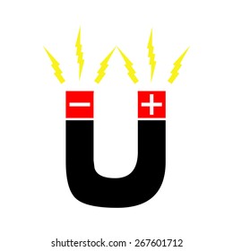 vector of magnet