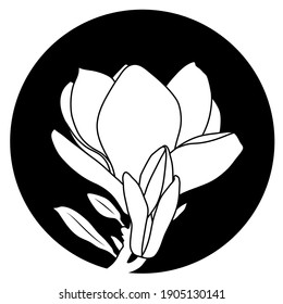 flor de magnolia vectorial aislada en redondeo negro