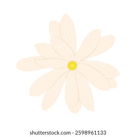 vector magnolia flower isolated on white background