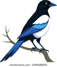  vector magpie bird sitting on tree branch