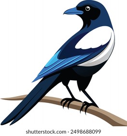  vector magpie bird sitting on tree branch