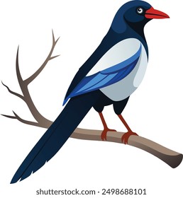  vector magpie bird sitting on tree branch