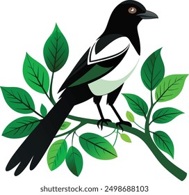  vector magpie bird sitting on tree branch