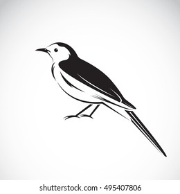 Vector of magpie design on white background. Bird Icon.