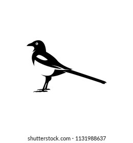 Vector Magpie Silhouette