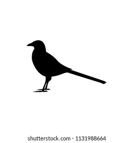 vector magpie silhouette