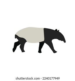 A vector of Malayan Tapir on isolation white background. Tapir is near to extinction due to heavy deforestation.