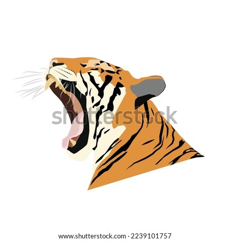 A vector of Malayan Tiger open its mouth on white background.