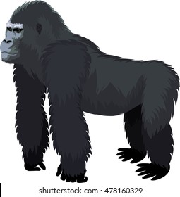 42,398 Gorillas Stock Illustrations, Images & Vectors | Shutterstock