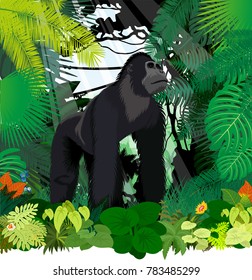 vector male gorilla in jungle rainforest