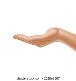 Vector Male Hand Isolated on White Background