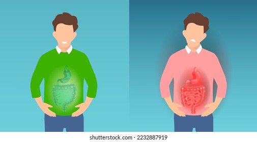 Vector of a man with belly pain and gastrointestinal tract inflammation pain and a guy with healthy guts