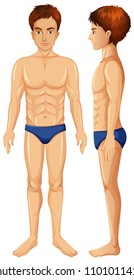 A Vector of Man Body illustration